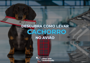 Como levar cachorro no aviao